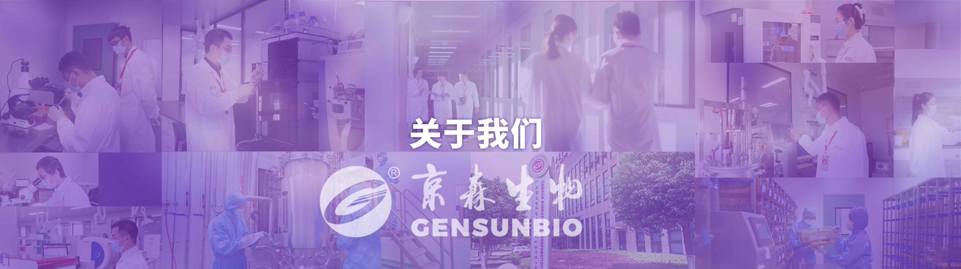 关于我们